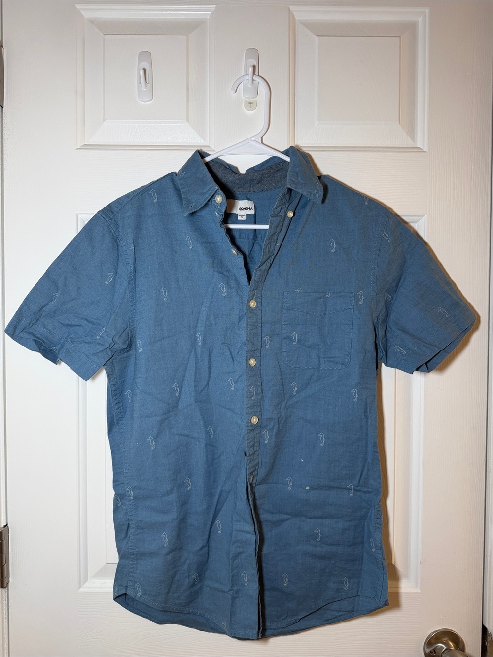 Blue Short-Sleeve Button-Down Shirt
